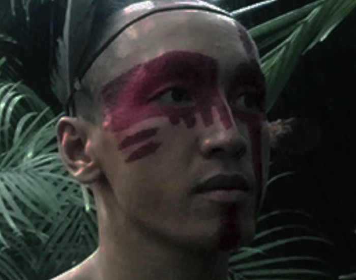 Dao Nguyen violent psychotic drug addict